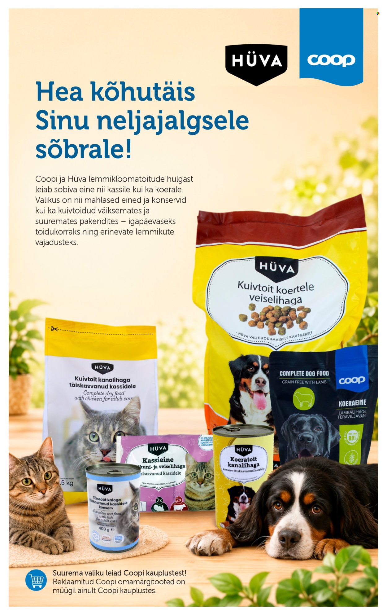 Coop kliendileht (11.08 - 17.08.2026)