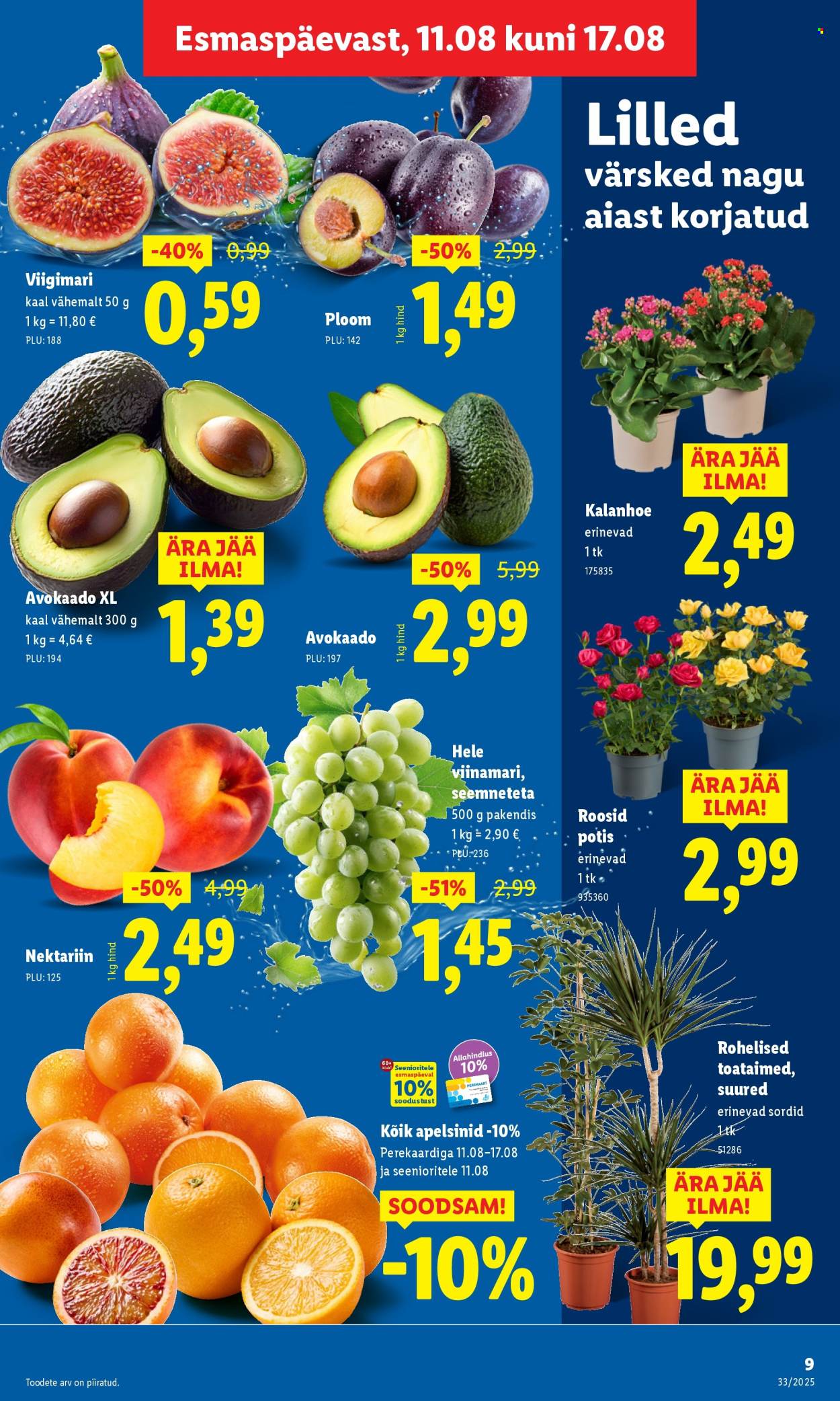 Lidl kliendileht - Kliendileht (14.08 - 17.08.2025)