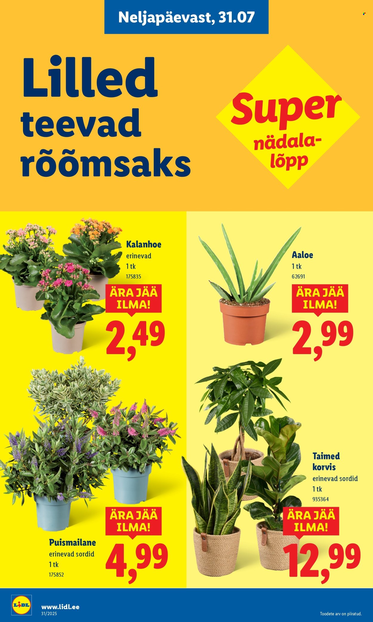 Lidl kliendileht - Kliendileht (28.07 - 3.08.2025)