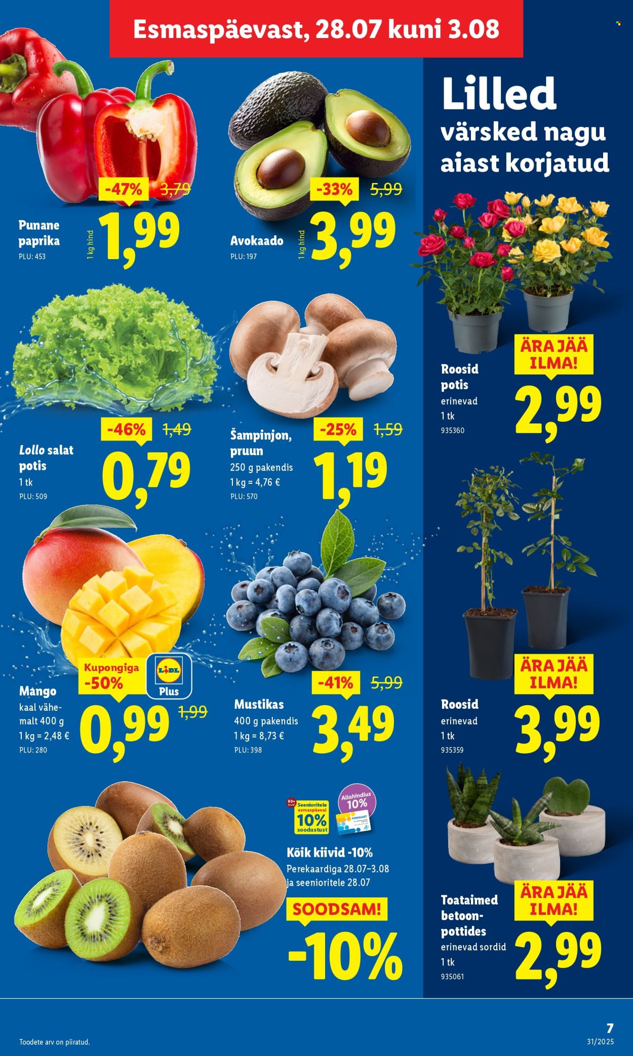 Lidl kliendileht - Kliendileht (28.07 - 3.08.2025)