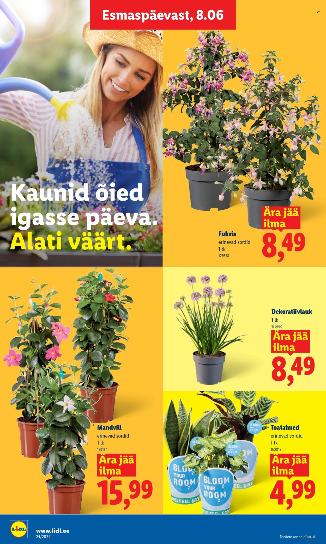 Lidl kliendileht (8.06 - 14.06.2026)