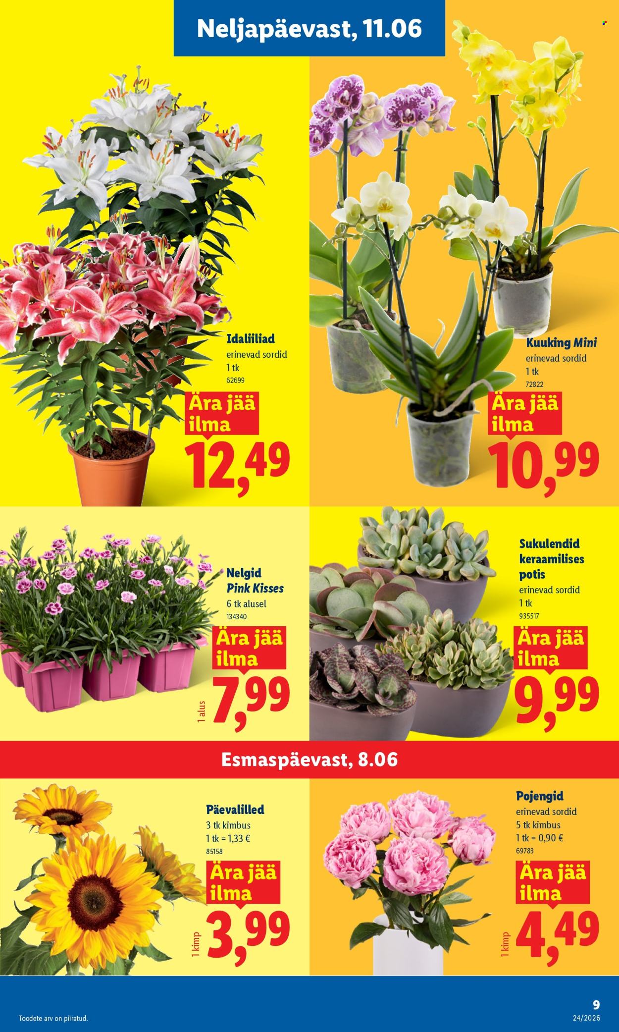 Lidl kliendileht (8.06 - 14.06.2026)