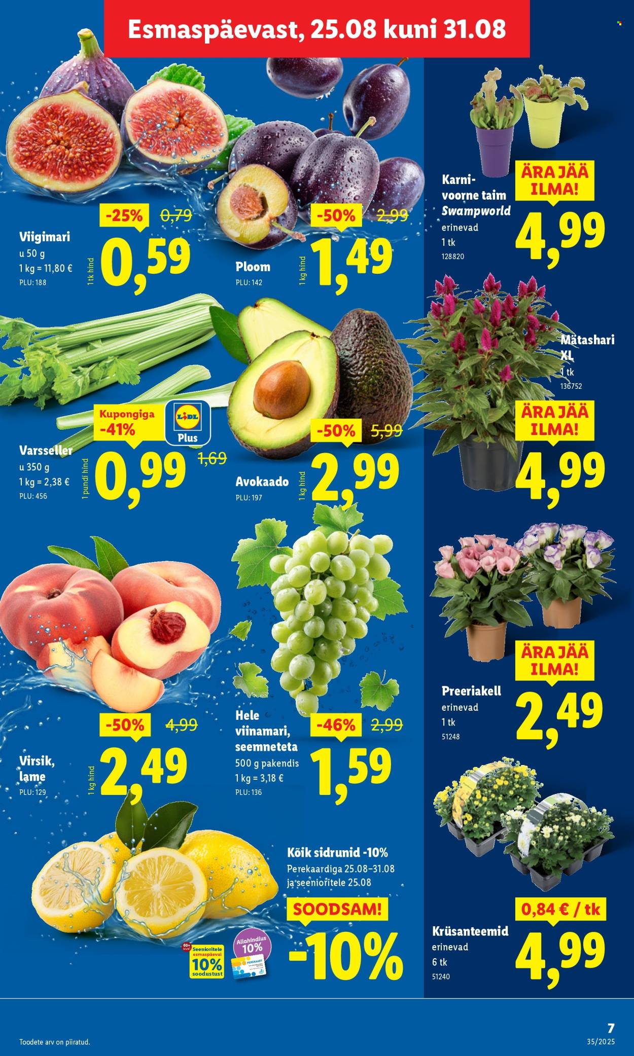 Lidl kliendileht - Kliendileht (25.08 - 31.08.2025)