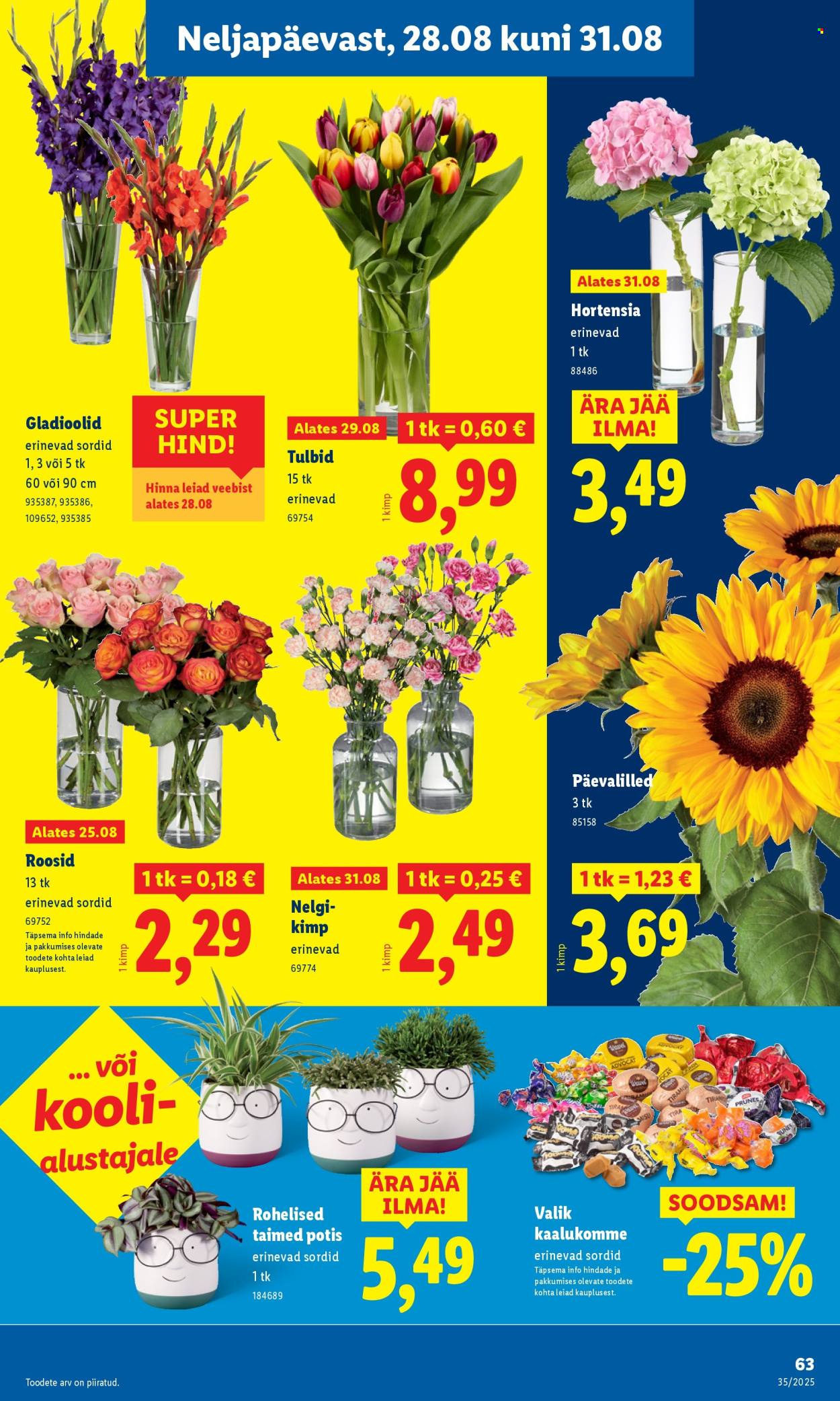 Lidl kliendileht - Kliendileht (25.08 - 31.08.2025)