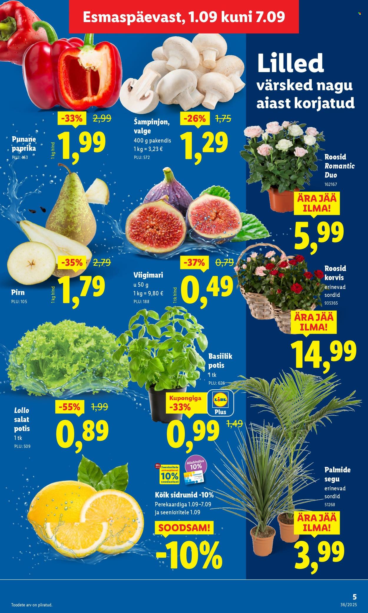 Lidl kliendileht - Kliendileht (1.09 - 7.09.2025)