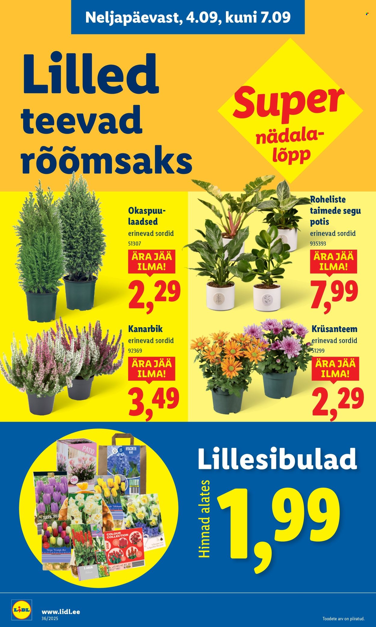 Lidl kliendileht - Kliendileht (1.09 - 7.09.2025)