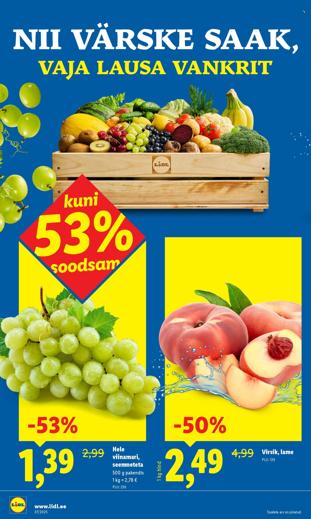 Lidl kliendileht - Kliendileht (8.09 - 14.09.2025)
