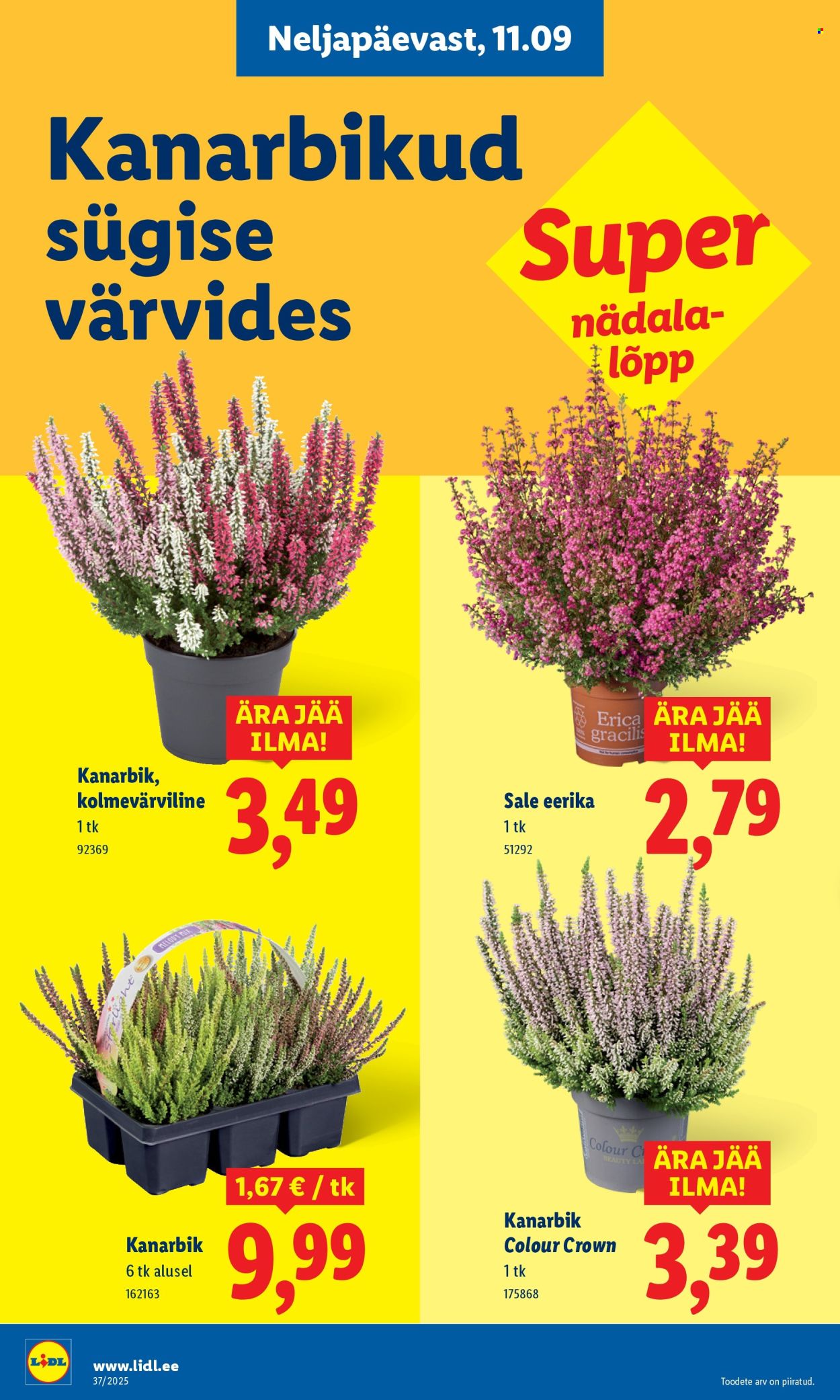 Lidl kliendileht - Kliendileht (8.09 - 14.09.2025)