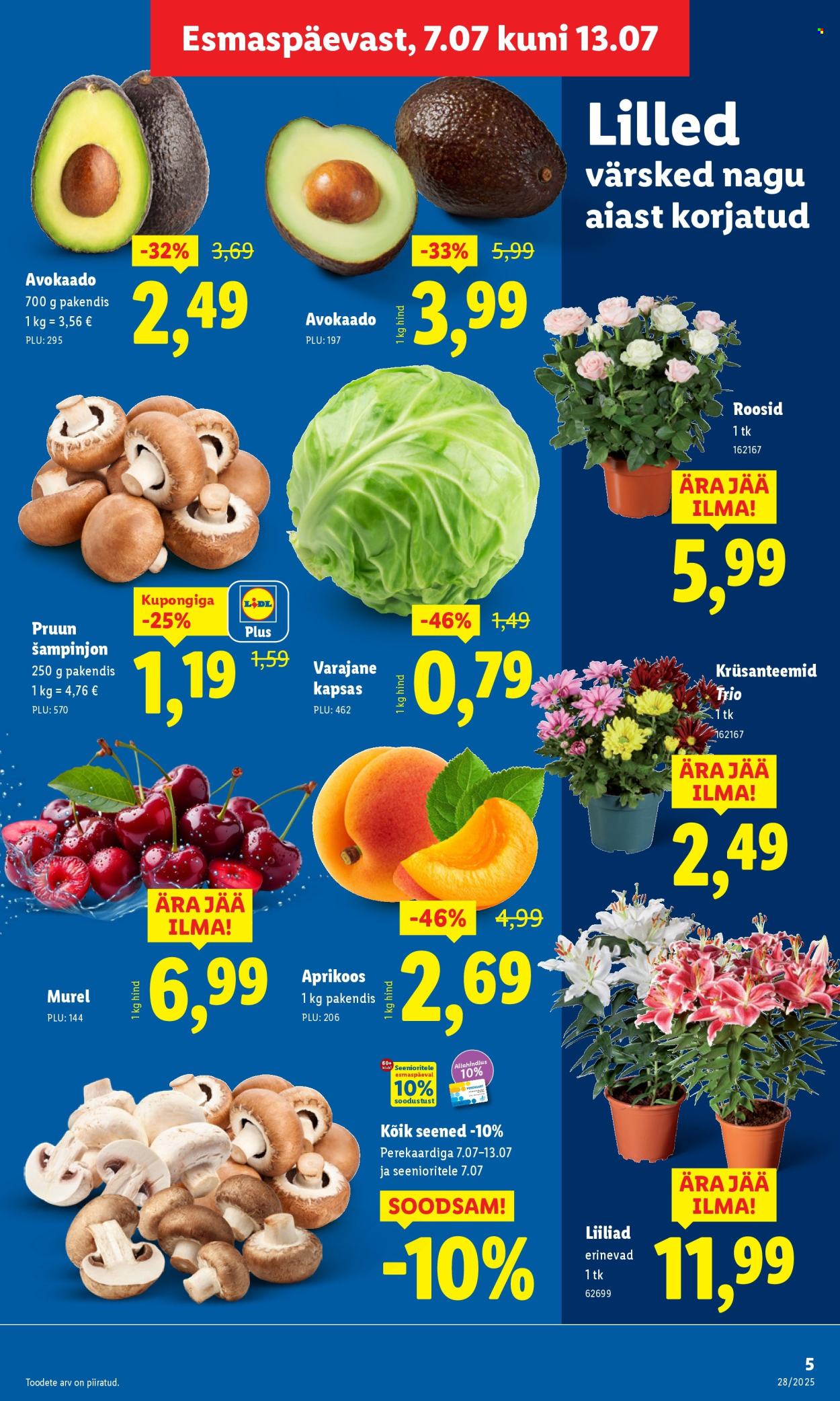 Lidl kliendileht - kliendileht (7.07 - 13.07.2025)