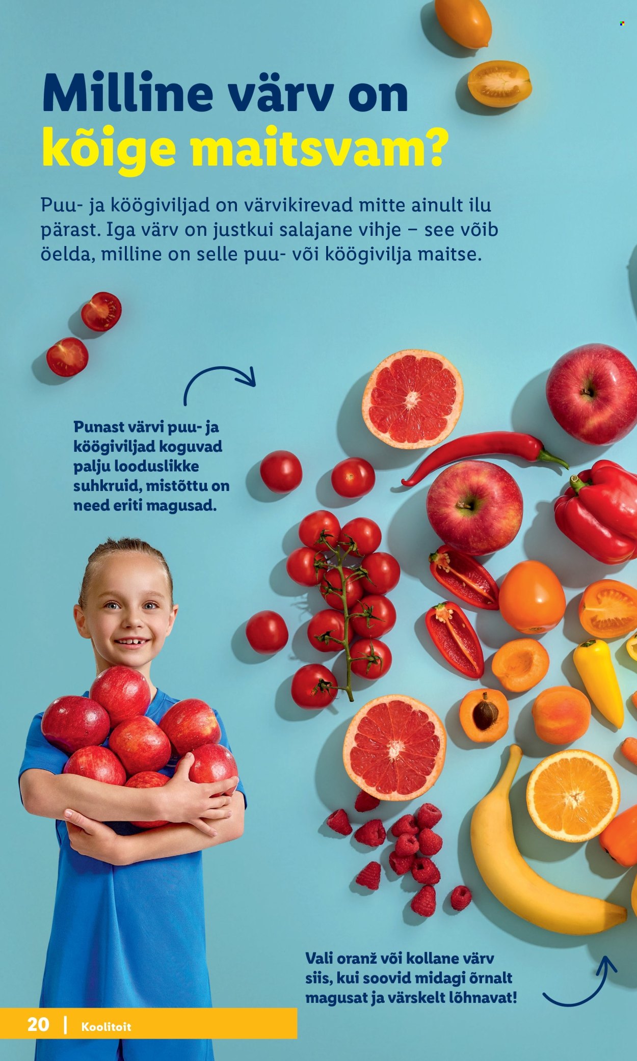 Lidl kliendileht - Tagasi kooli