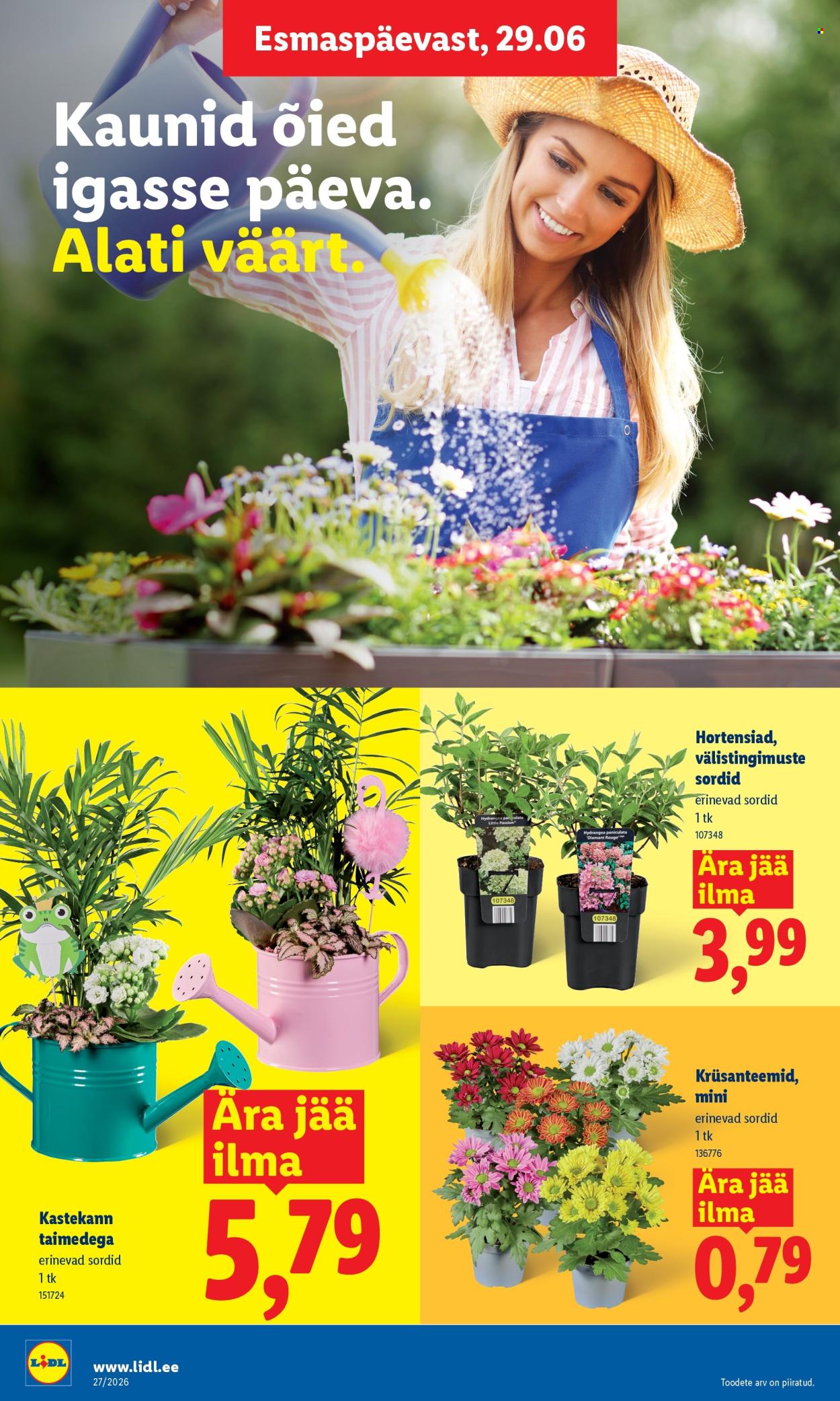 Lidl kliendileht (29.06 - 5.07.2026)