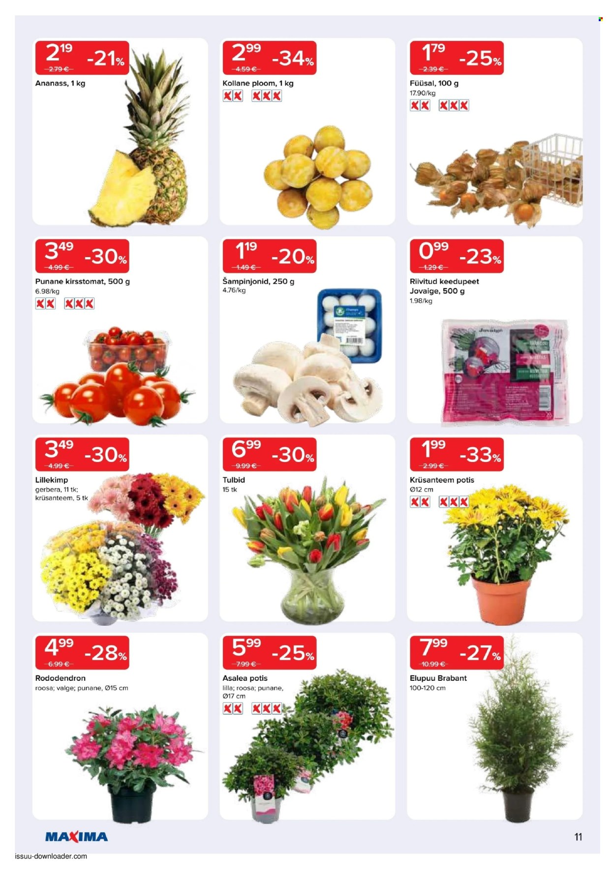 Maxima kliendileht - Maxima kliendileht (14.04 - 20.04.2026)
