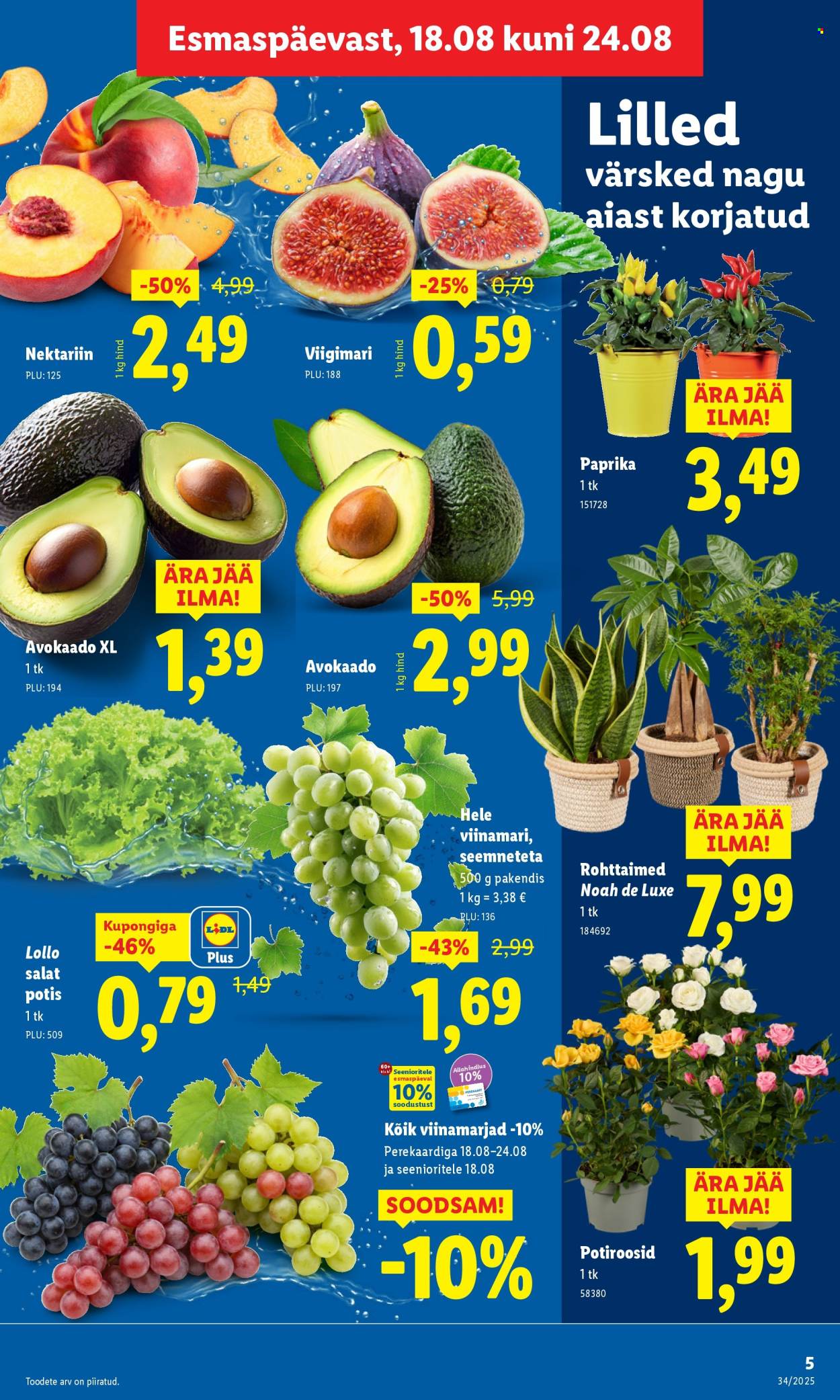 Lidl kliendileht - Kliendileht (18.08 - 24.08.2025)