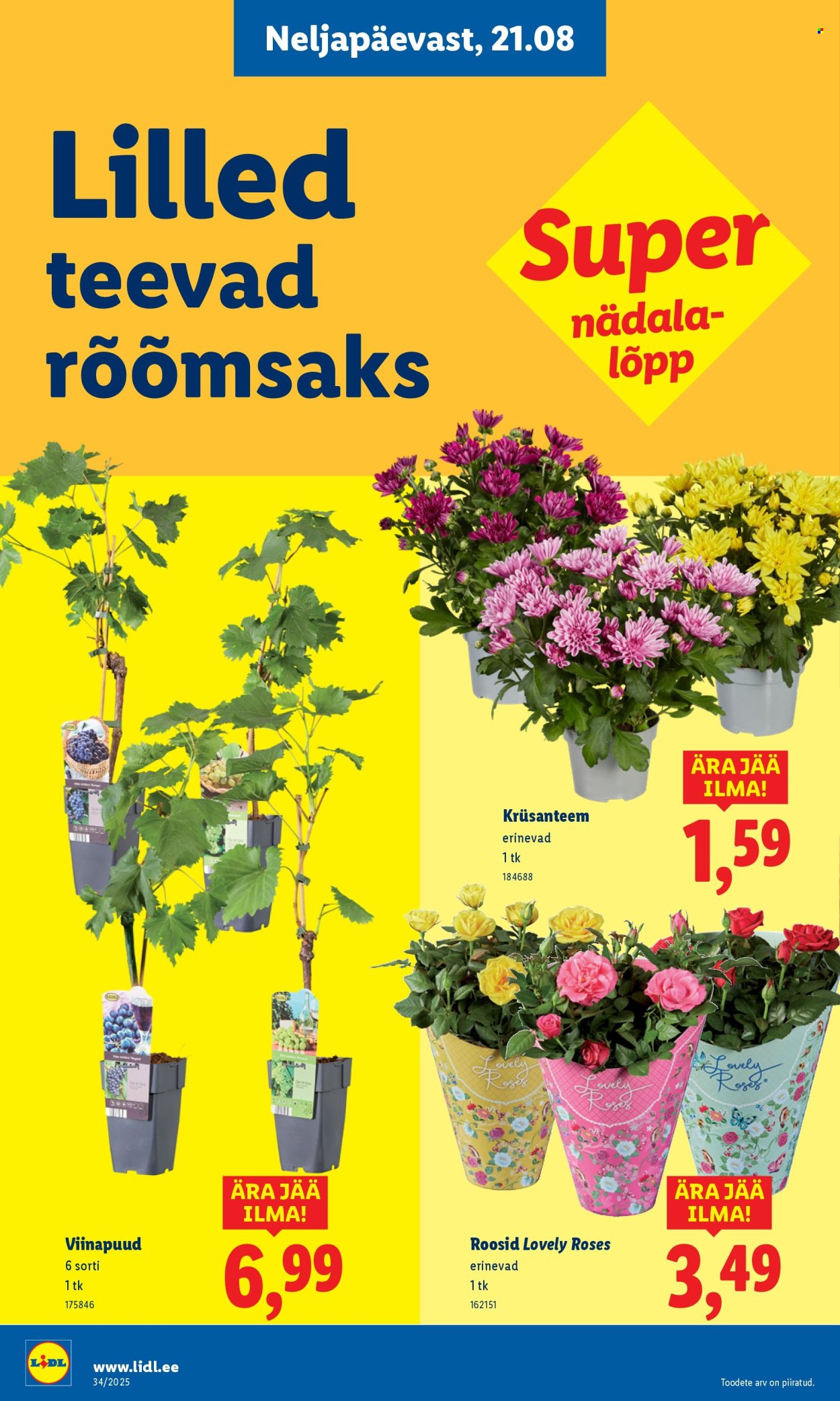 Lidl kliendileht - Kliendileht (18.08 - 24.08.2025)