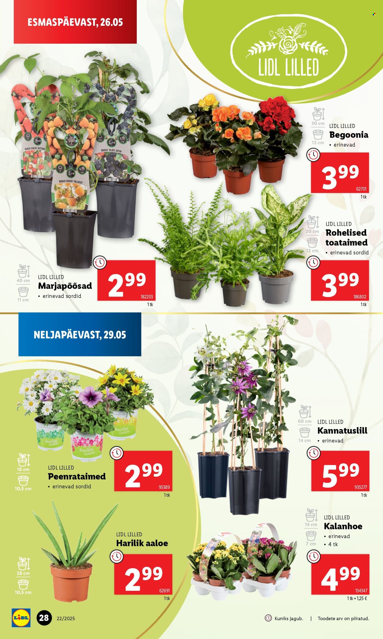 Lidl kliendileht - Kliendileht (26.05 - 1.06.2025)