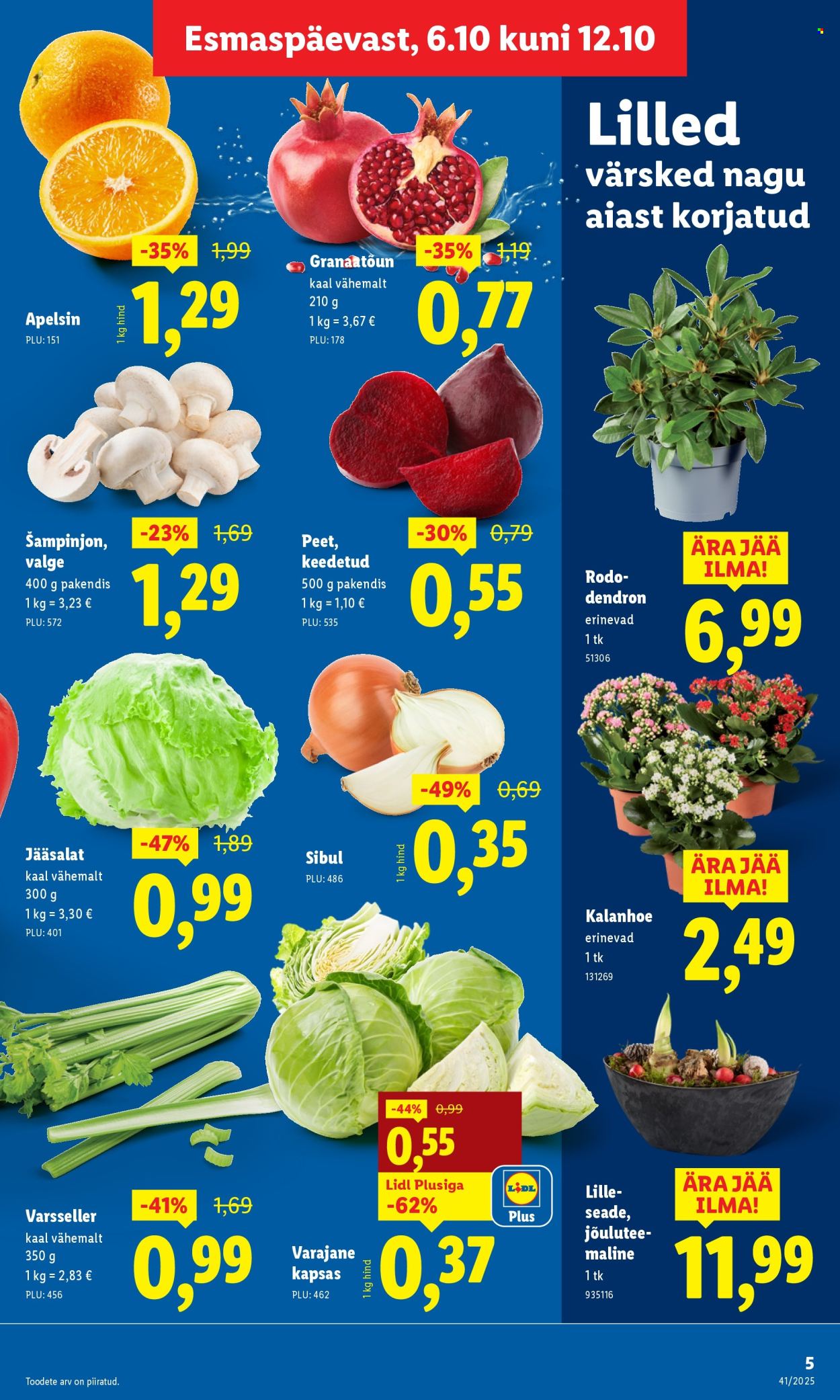 Lidl kliendileht - Kliendileht (6.10 - 12.10.2025)