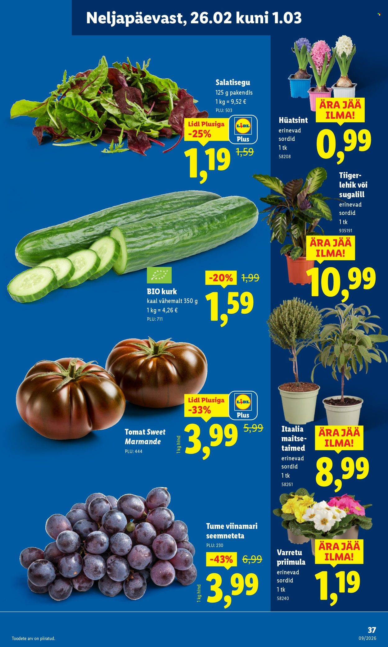 Lidl kliendileht - Kliendileht (23.02 - 1.03.2026)