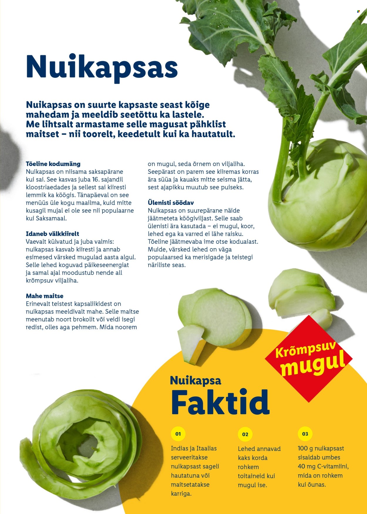 Lidl kliendileht - Rõõmu täis lihavõtted