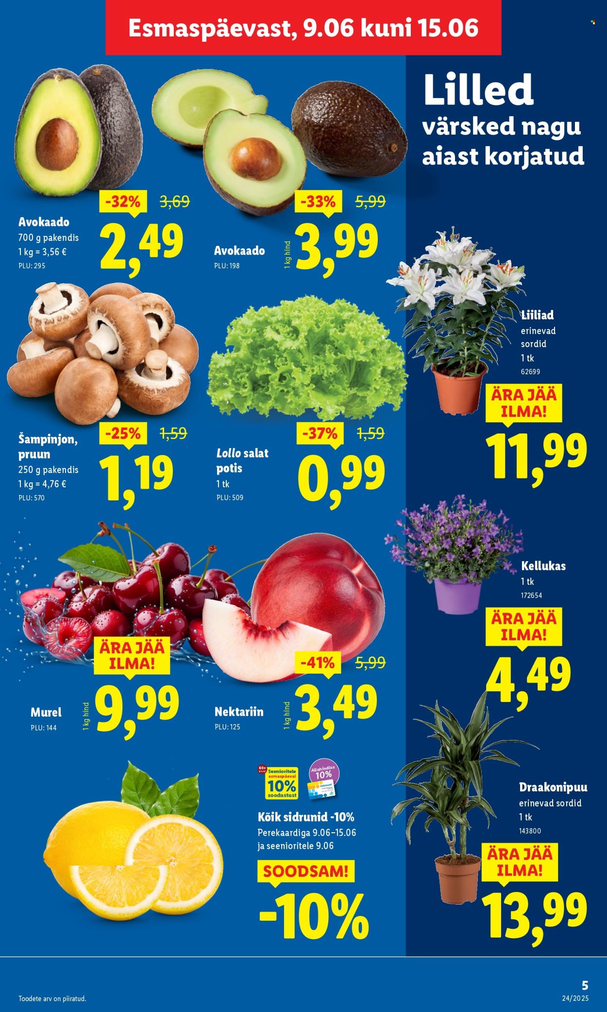 Lidl kliendileht - Kliendileht (9.06 - 15.06.2025)
