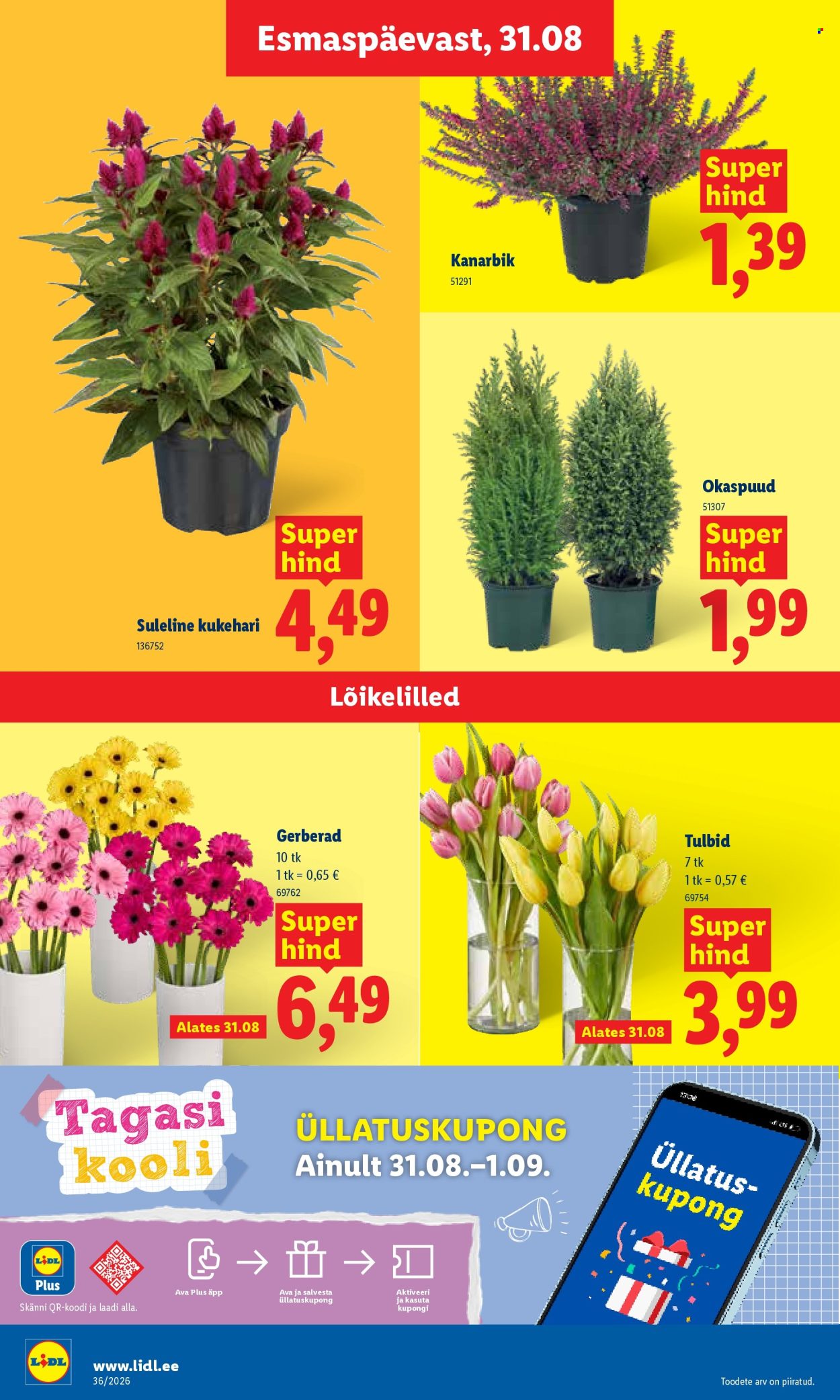 Lidl kliendileht (31.08 - 6.09.2026)