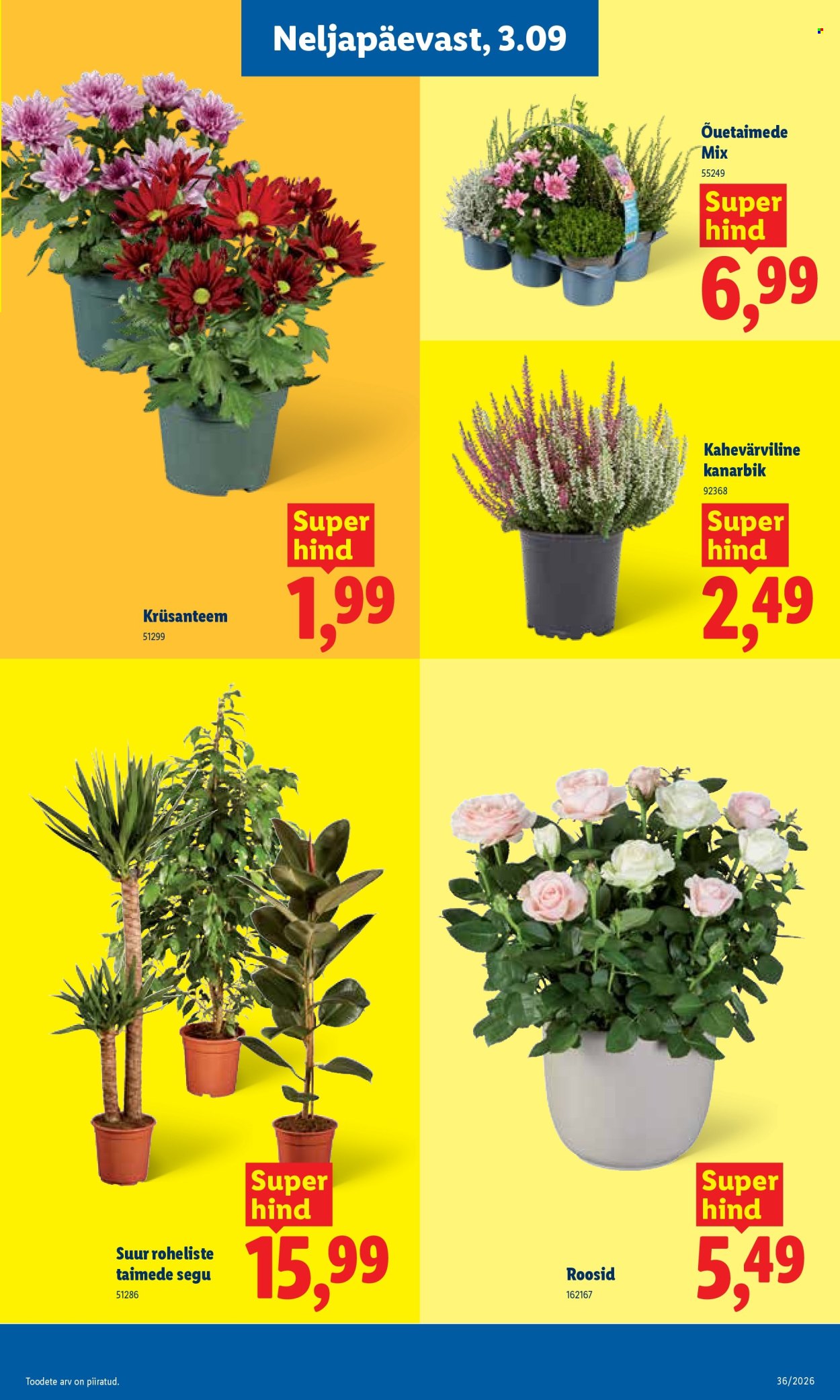Lidl kliendileht (31.08 - 6.09.2026)